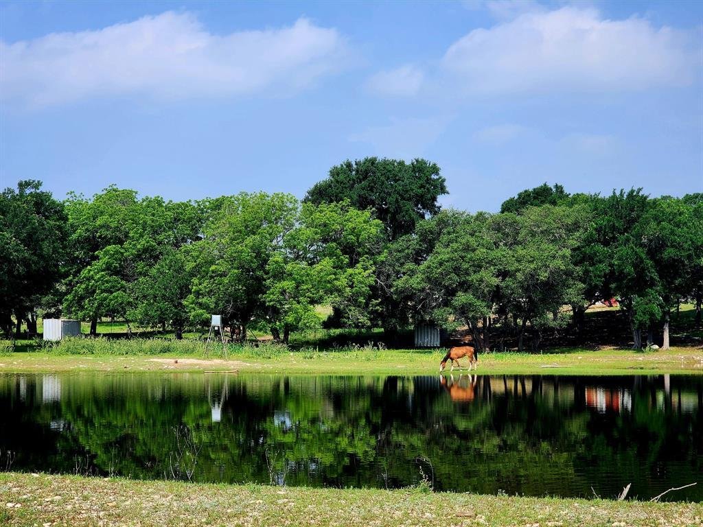 Farm Ranch in Burnet, Texas, United States 2 - 17952602