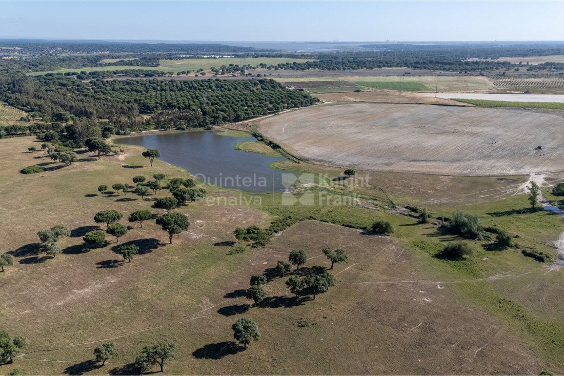 Land in Palmela, Setubal, Portugal 5 - 17954335