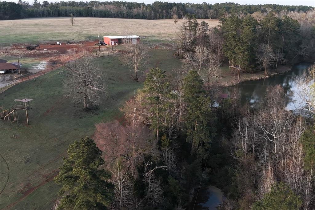 Farm Ranch in Jacksonville, Texas, United States 2 - 17952427