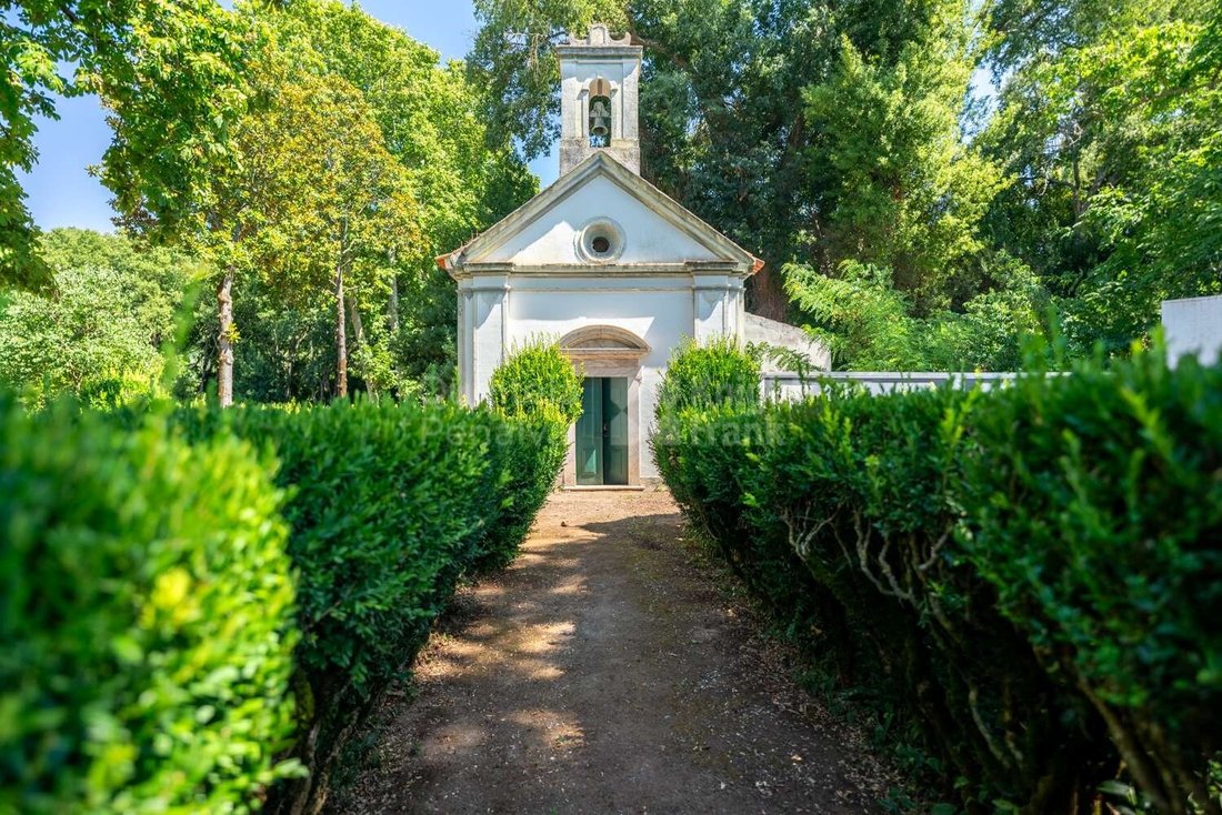 Finca in Borba (Matriz), Évora District, Portugal 4 - 15015524