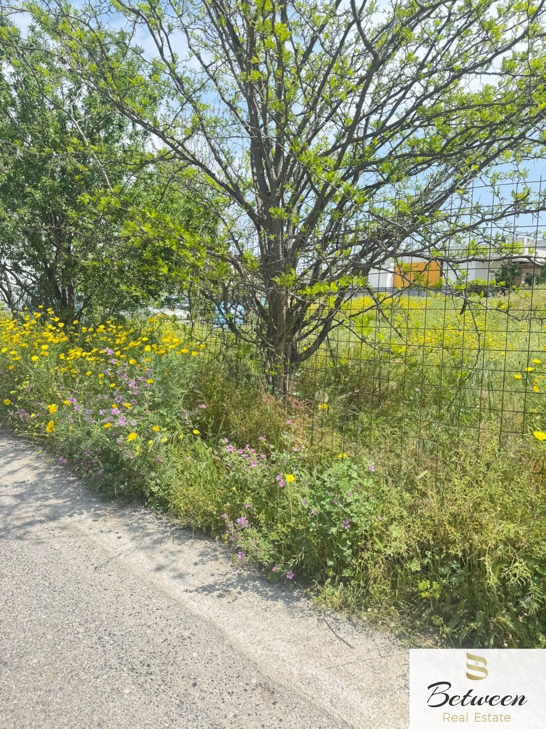Land in North Athens, Attica, Greece 2 - 17744546