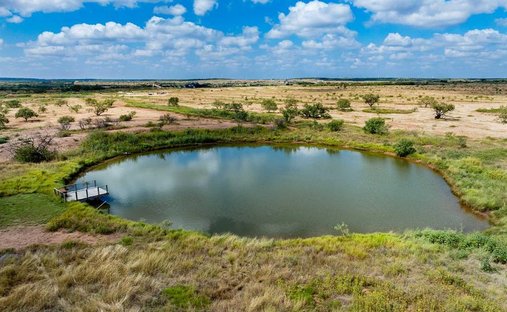 Terrain à Hermleigh, Texas, Texas, États-Unis 1