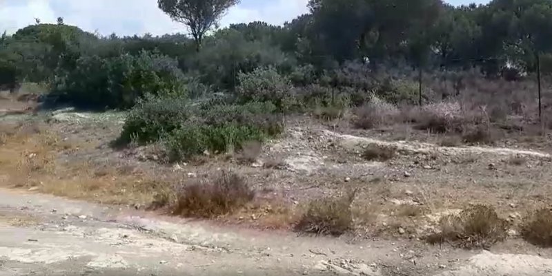 Land in Casares, Andalusia, Spain 5 - 17947229