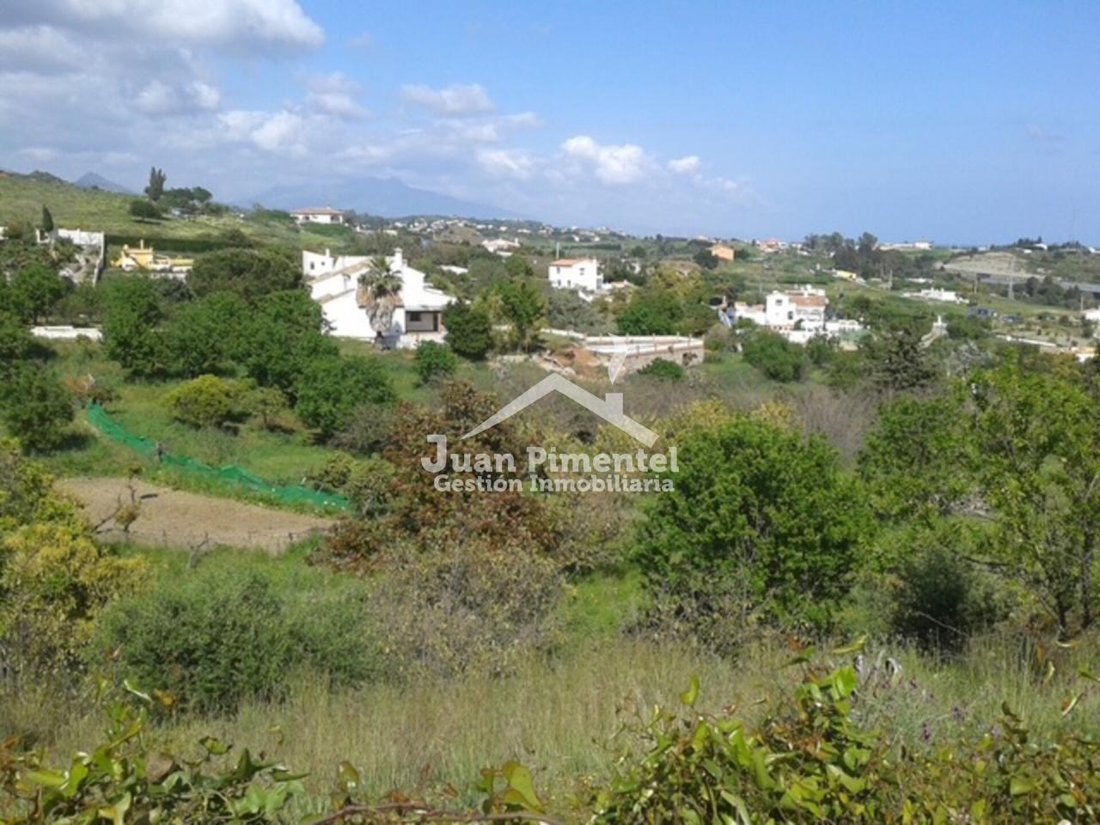 Finca in Estepona, Andalusia, Spain 5 - 17947353