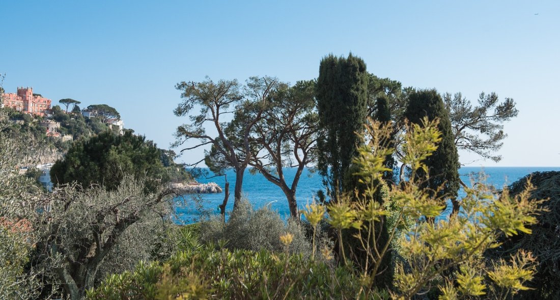 Apartment in Mont Boron, Nice, Provence-Alpes-Côte d'Azur 3 - 16918916