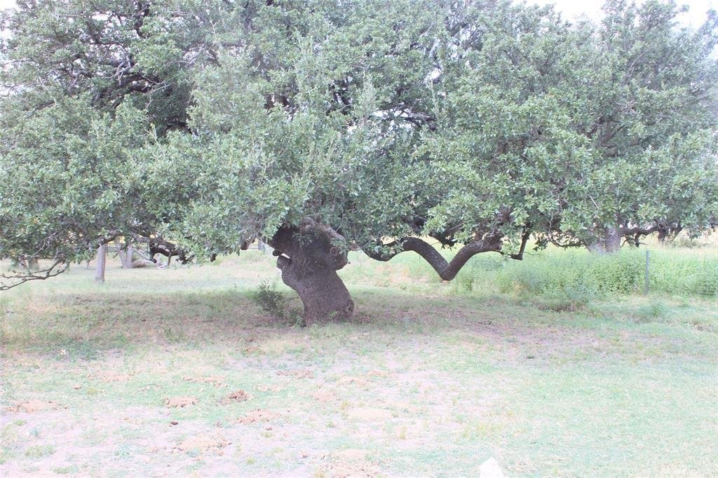 Farm Ranch in Richland Springs, Texas, United States 4 - 17952137