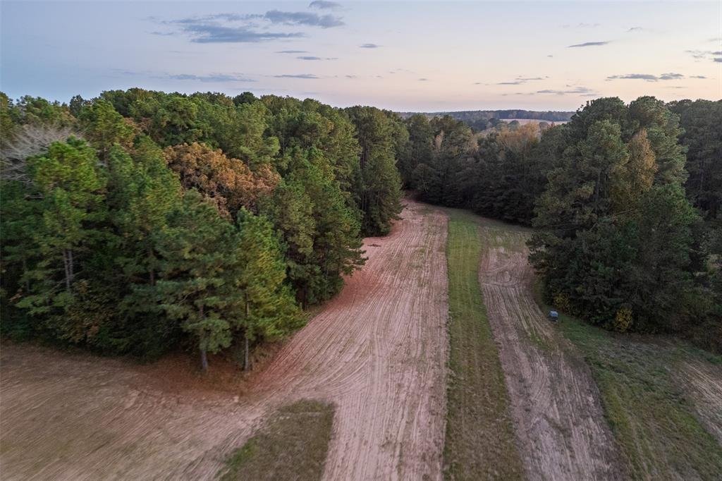 Farm Ranch in Troup, Texas, United States 2 - 17952584