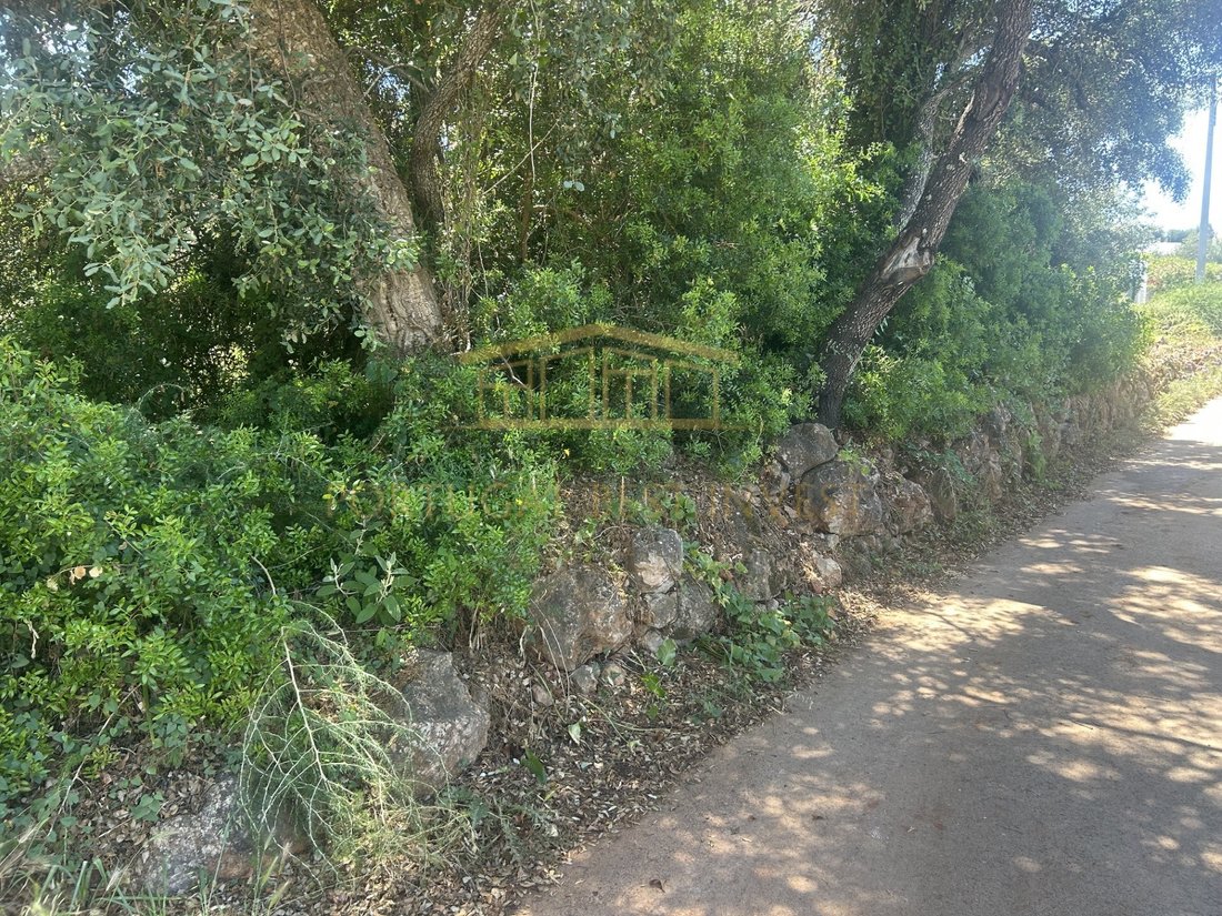 Land in Almancil, Algarve, Portugal 4 - 17954278