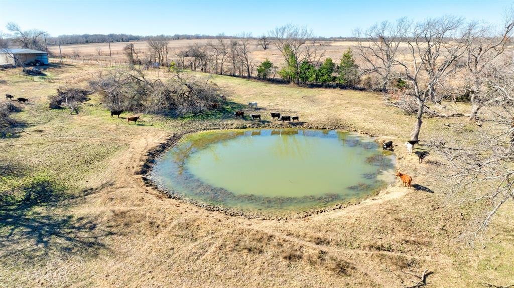 Farm Ranch in Sherman, Texas, United States 4 - 17952519