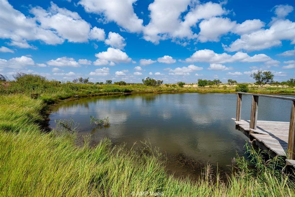 Farm Ranch in Hermleigh, Texas, United States 2 - 17952637