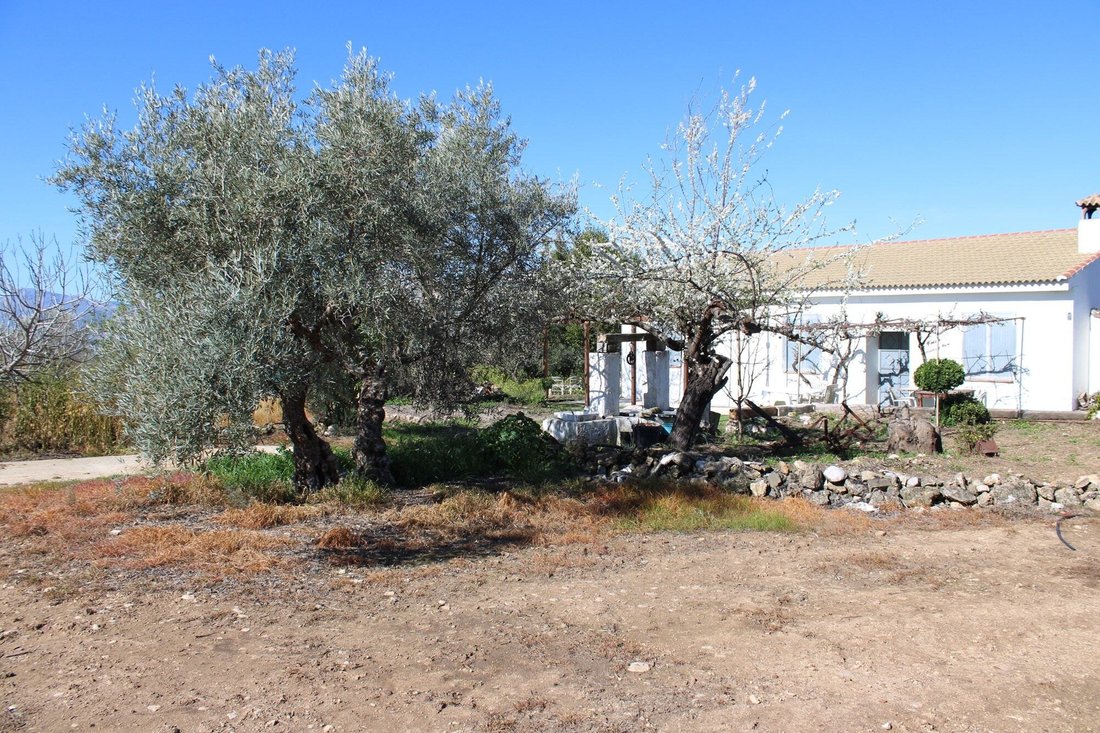House in Arriate, Andalusia, Spain 5 - 17947673