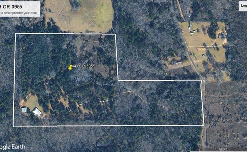 Farm Ranch in Holly Lake Ranch, Texas, United States 1