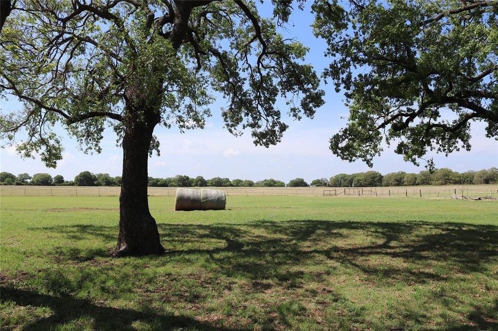 Farm Ranch in Henrietta, Texas, United States 5 - 17952296