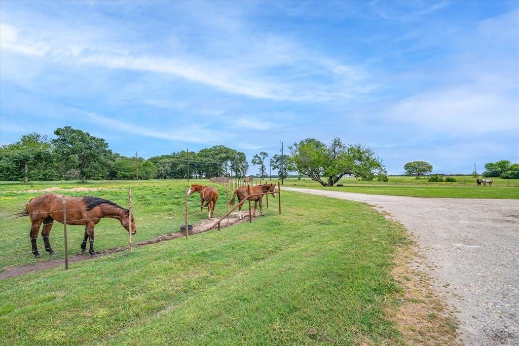 Farm Ranch in Wills Point, Texas, United States 2 - 17952148