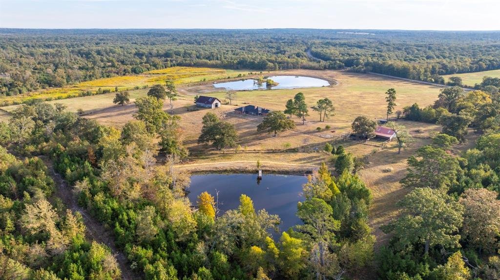 Farm Ranch in Mineola, Texas, United States 1 - 17952560