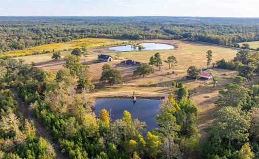 Farm Ranch in Mineola, Texas, United States 1