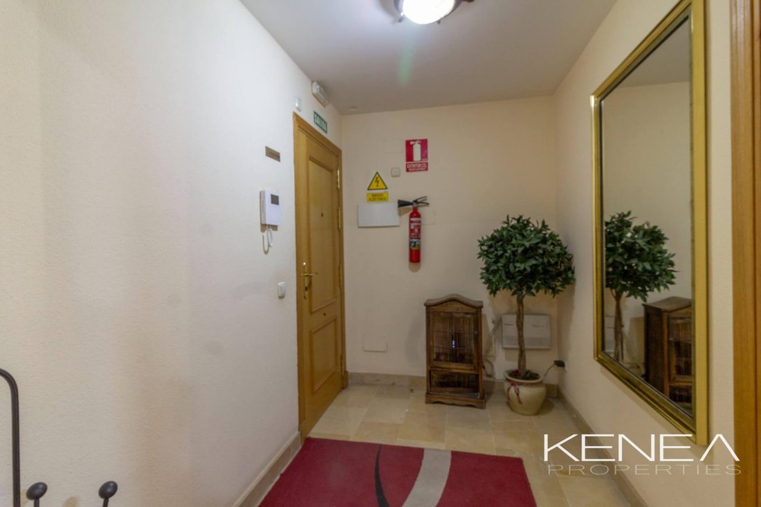 Apartment in San Pedro de Alcantara, Andalusia, Spain 4 - 17947726