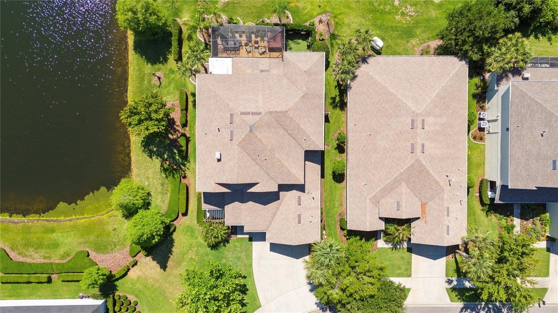 House in Land O' Lakes, Florida, United States 5 - 17951576