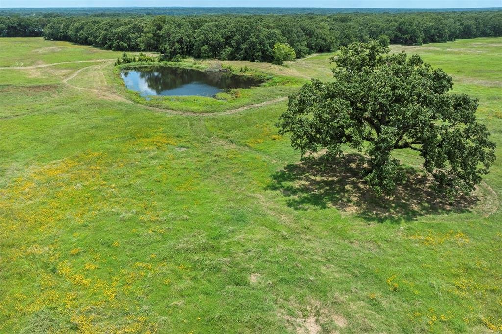Farm Ranch in Tool, Texas, United States 1 - 17952622