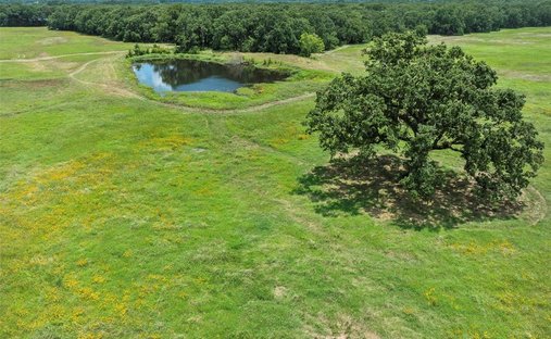 Azienda agricola a Tool, Texas, Stati Uniti 1