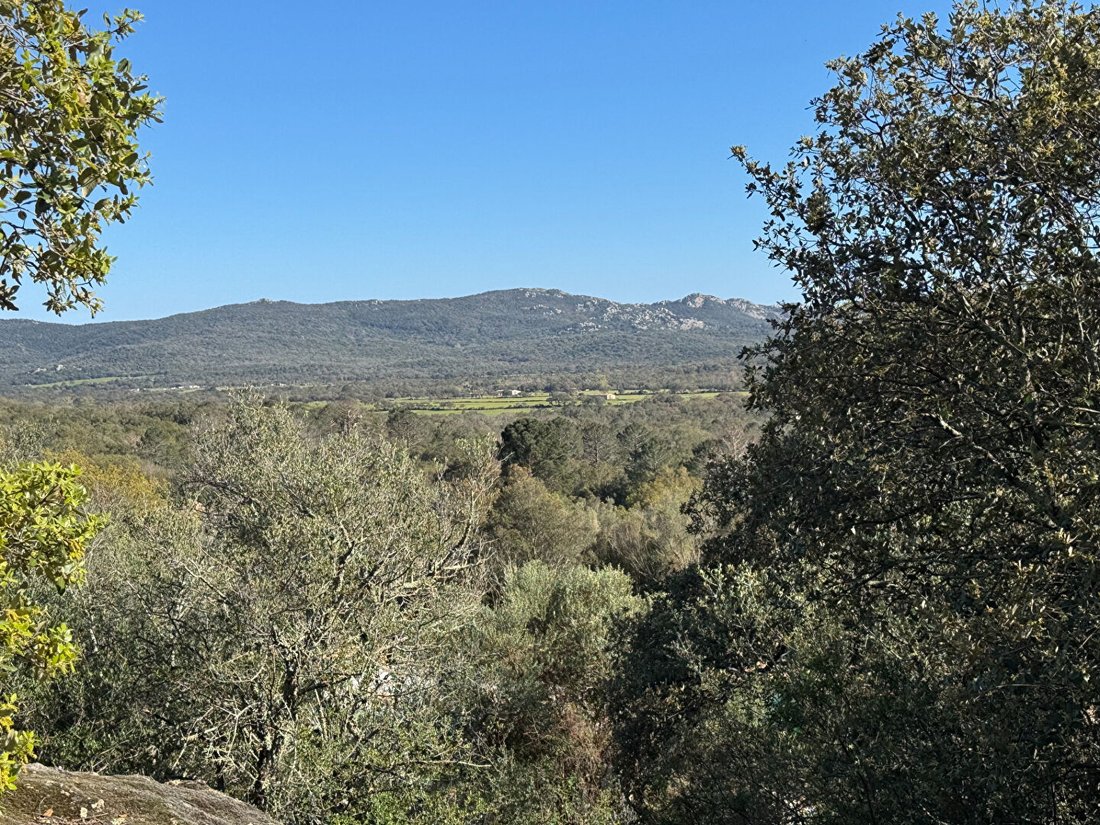 Villa in Sotta, Corsica, France 4 - 17954577