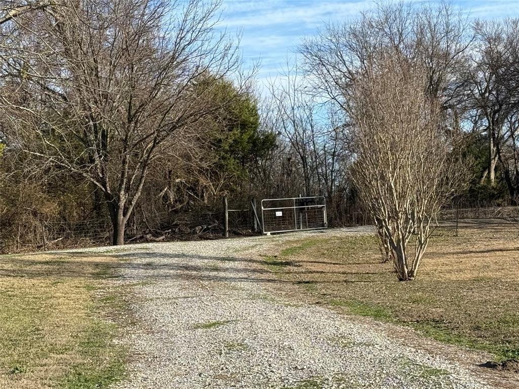 Farm Ranch in Blue Ridge, Texas, United States 1 - 17952736