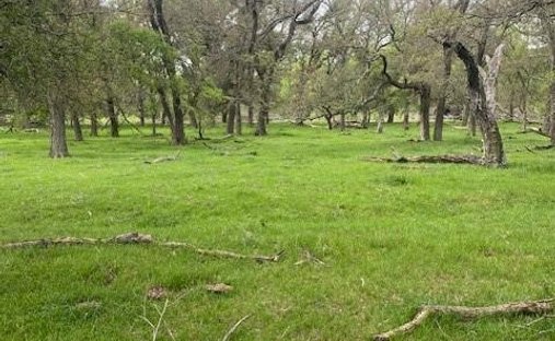 Land in Riesel, Texas, United States 1