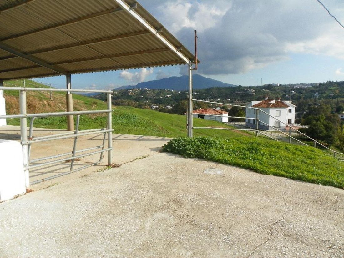 House in Coin, Andalusia, Spain 5 - 17947734