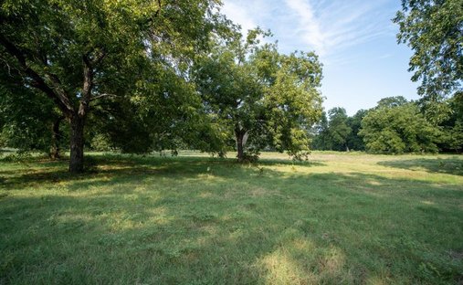 Farm Ranch in Sanger, Texas, United States 1