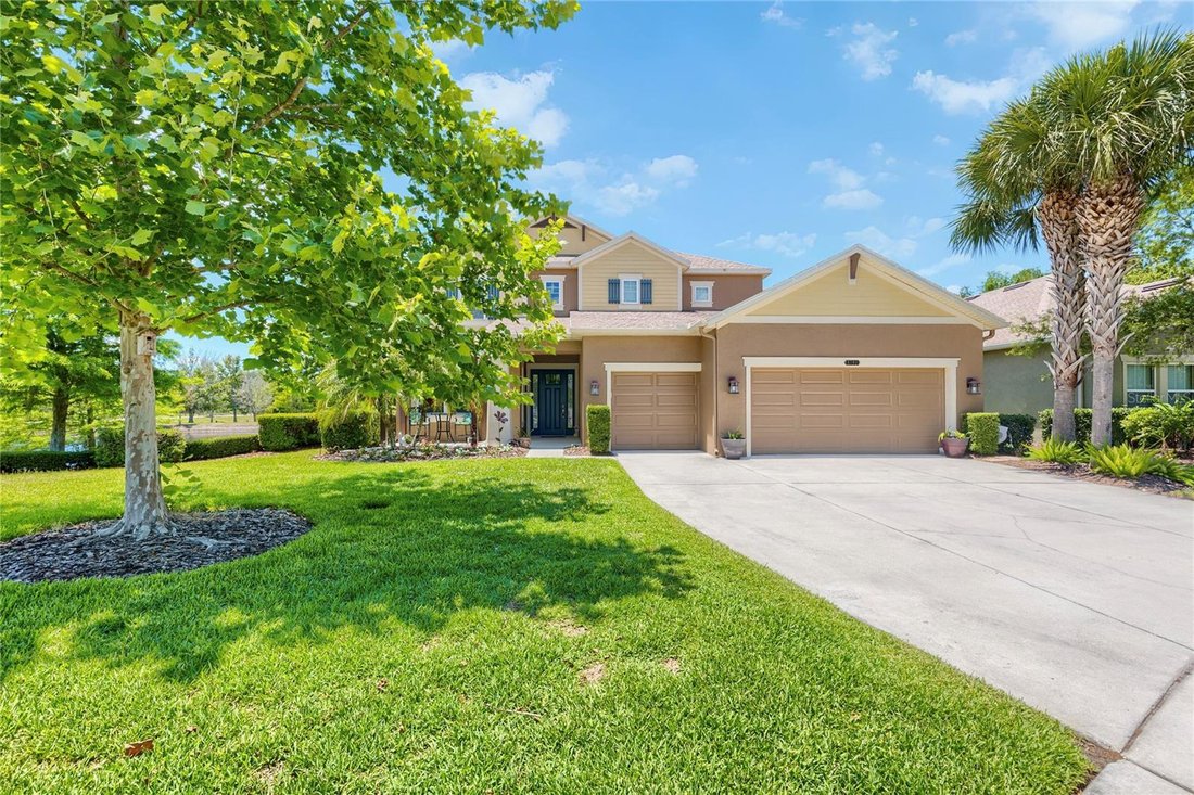 House in Land O' Lakes, Florida, United States 1 - 17951576