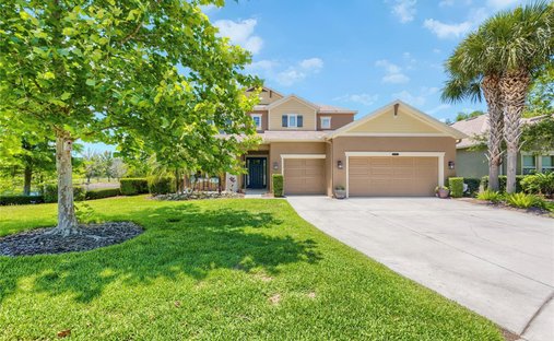 House in Land O' Lakes, Florida, United States 1