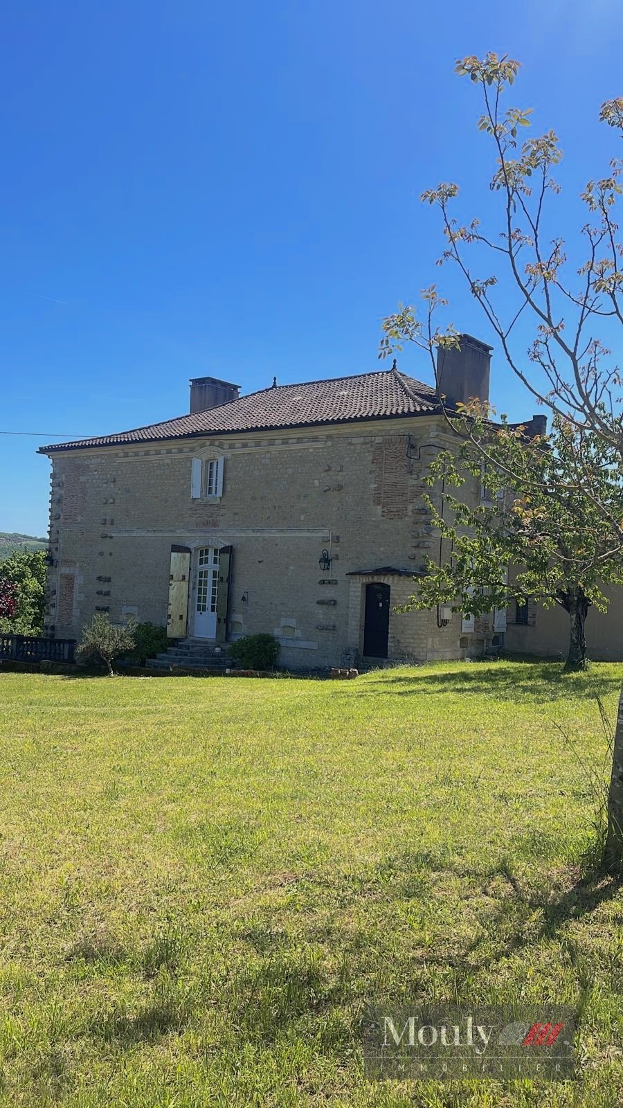 Castle in Anglars-Juillac, Occitania, France 4 - 16462000