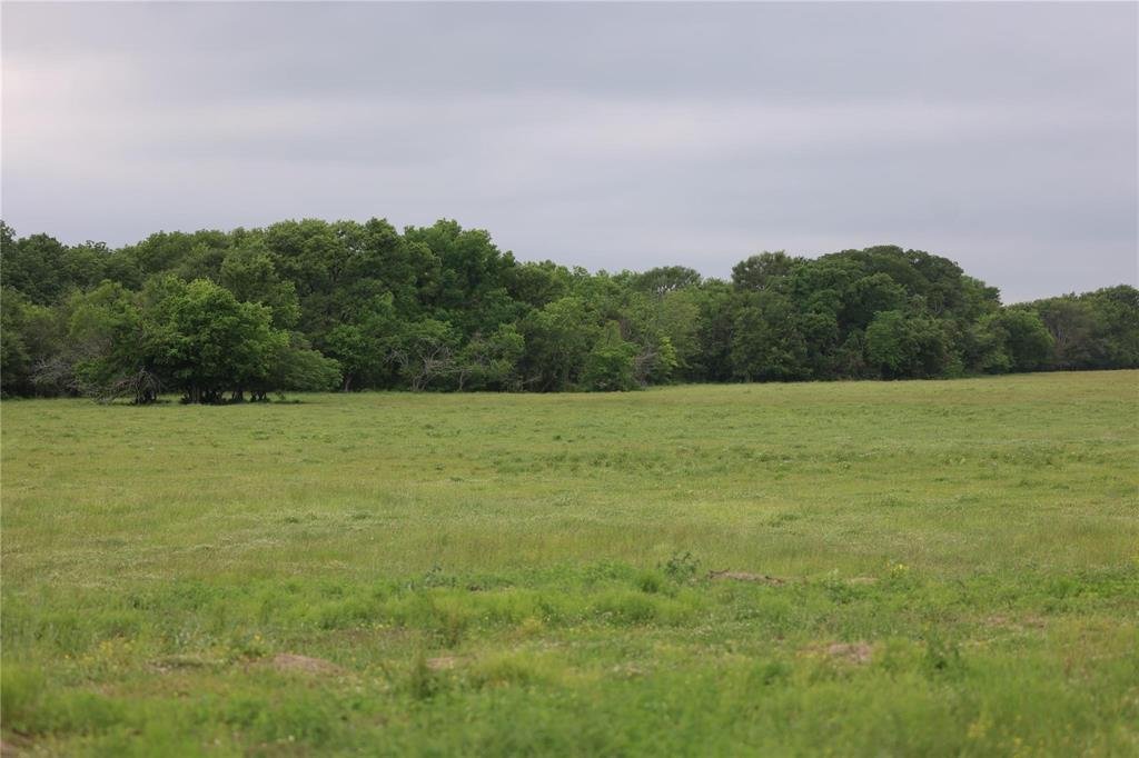 Farm Ranch in Wortham, Texas, United States 2 - 17952314
