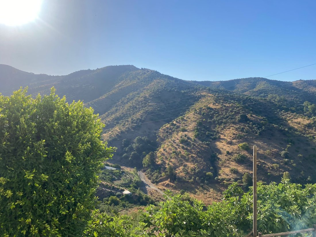 Finca in Totalan, Andalusia, Spain 1 - 17947594