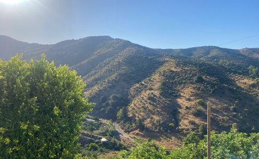 Finca in Totalan, Andalusia, Spain 1