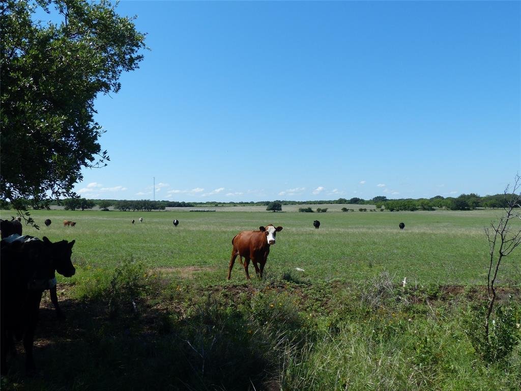 Farm Ranch in Rochelle, Texas, United States 2 - 17952760