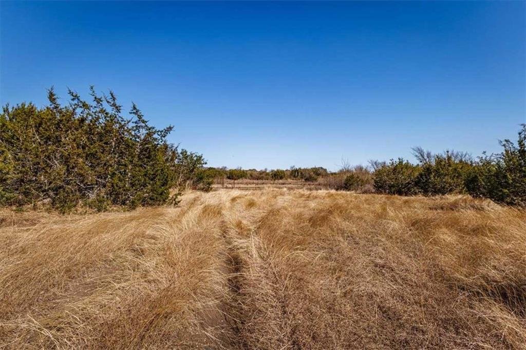 Farm Ranch in The Grove, Texas, United States 5 - 17952372