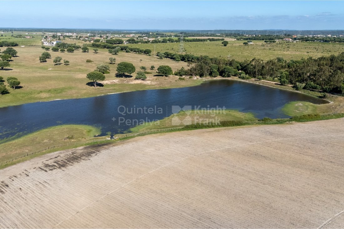 Land in Palmela, Setubal, Portugal 1 - 17954335