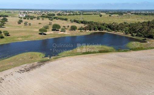 Land in Palmela, Setubal, Portugal 1