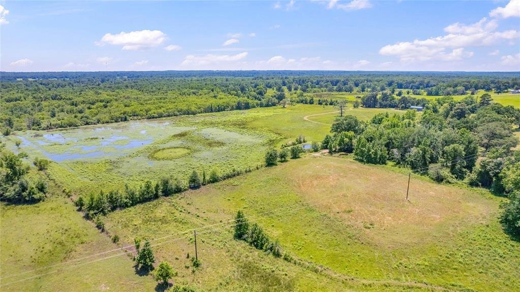 Farm Ranch in Brownsboro, Texas, United States 3 - 17952433