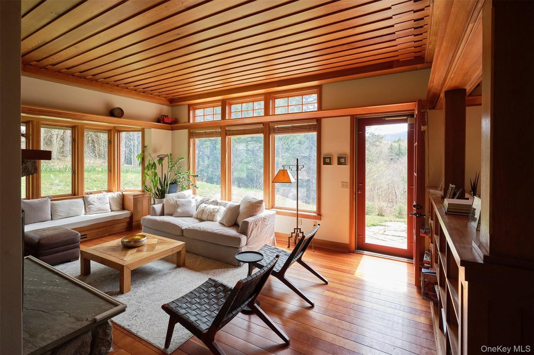 House in Livingston Manor, New York, United States 3 - 17953787