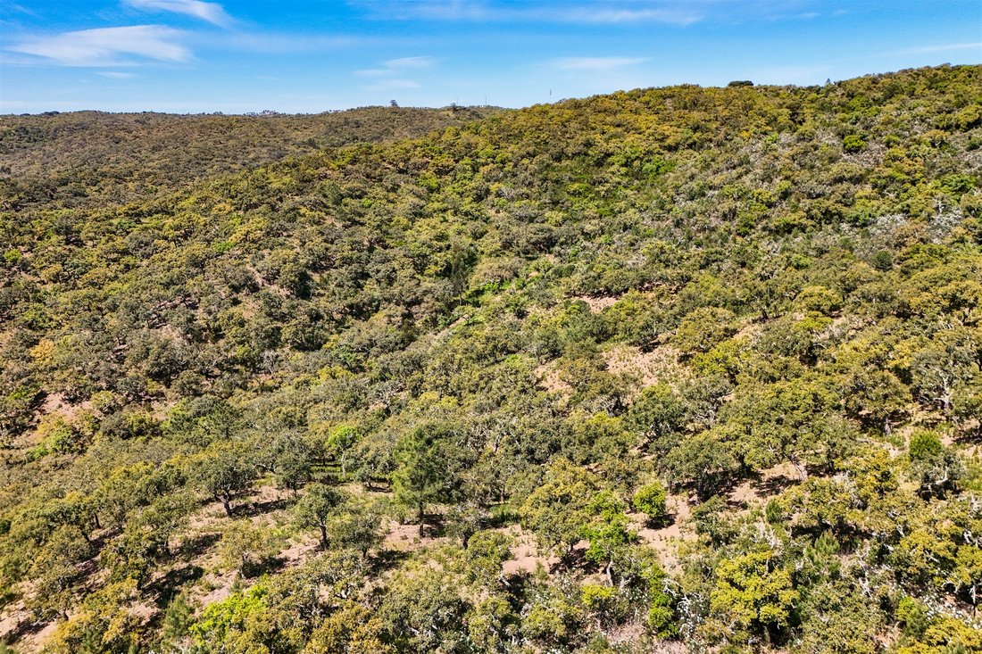 Land in Grandola e Santa Margarida da Serra, Setubal, Portugal 5 - 17955560