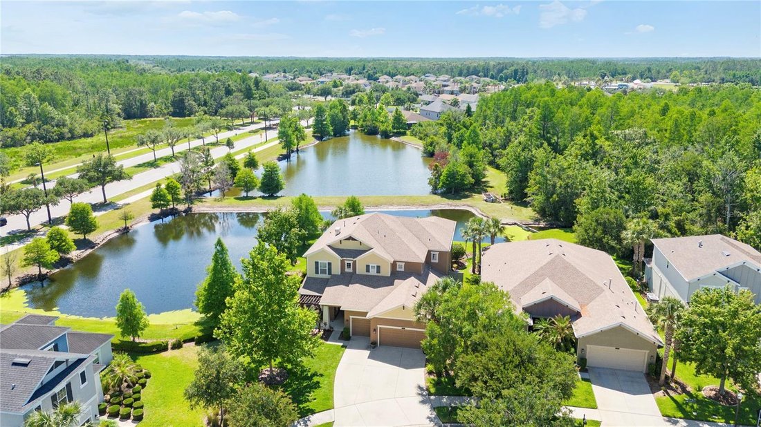 House in Land O' Lakes, Florida, United States 3 - 17951576