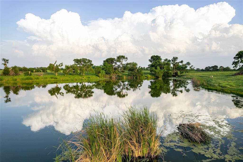 Farm Ranch in Ravenna, Texas, United States 4 - 17952538