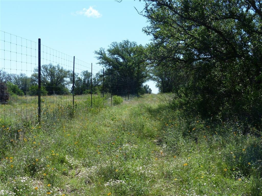 Farm Ranch in Rochelle, Texas, United States 5 - 17952760