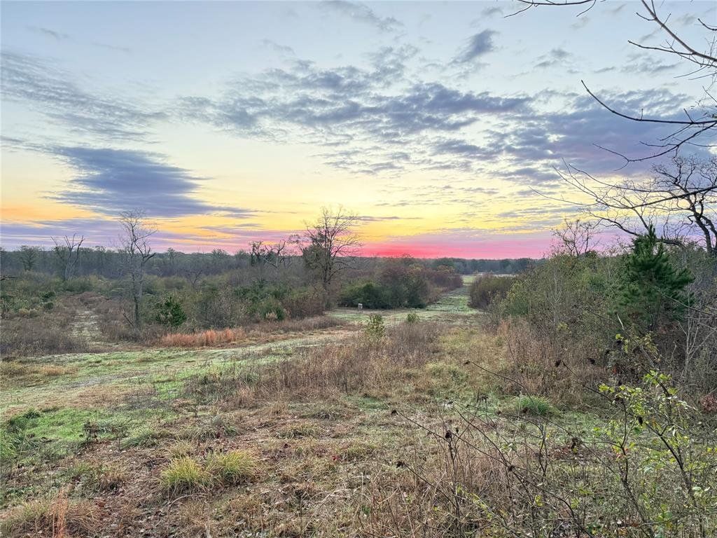 Farm Ranch in Mineola, Texas, United States 3 - 17952560