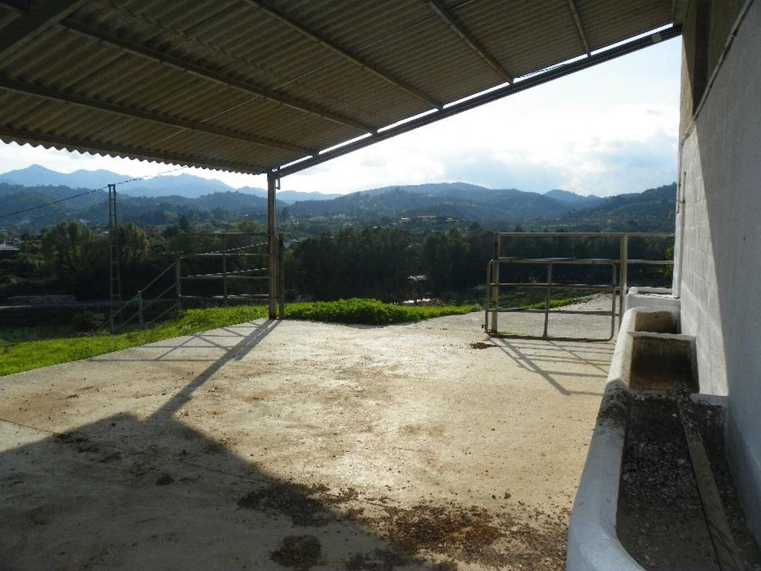 Land in Coin, Andalusia, Spain 3 - 17947243