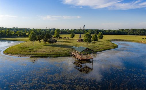 Farm Ranch in Ben Wheeler, Texas, United States 1