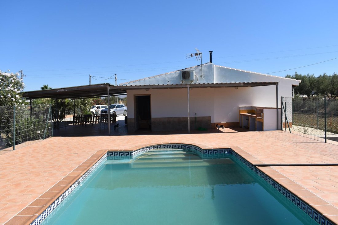 Finca in Alhaurin el Grande, Andalusia, Spain 5 - 17947481