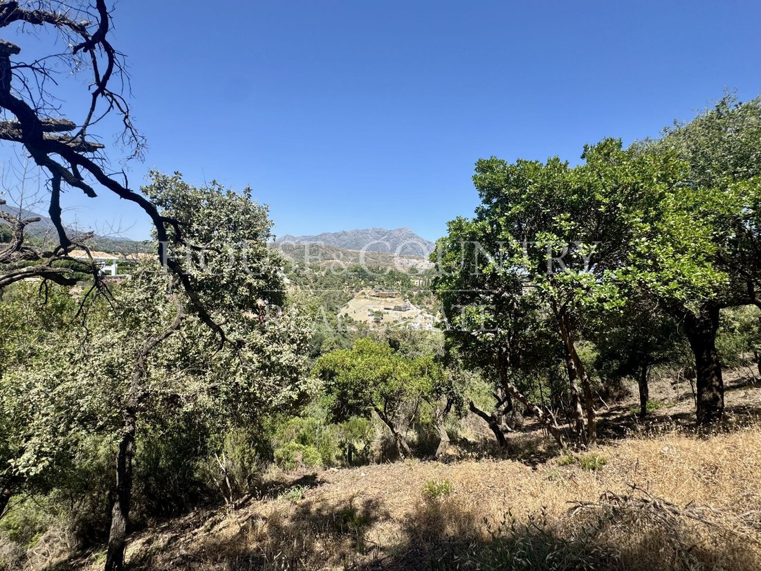 Land in Benahavis, Andalusia, Spain 3 - 17947226